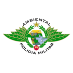 21.png